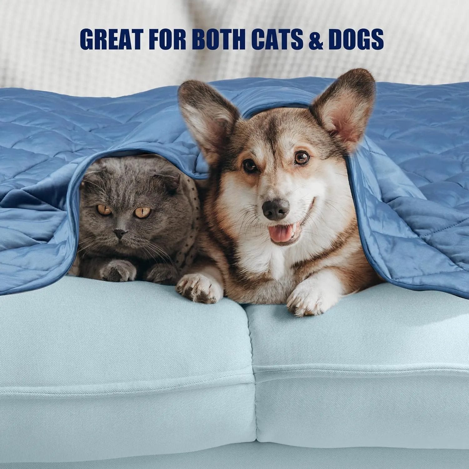 Premium Cooling Blanket for Dogs Pet Cooling Pads Washable Pet Cool Mat for Cats Hot Weather Puppy Lightweight Throw Calming Pad(22x28 inches)