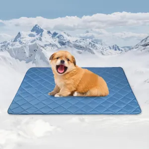 Premium Cooling Blanket for Dogs Pet Cooling Pads Washable Pet Cool Mat for Cats Hot Weather Puppy Lightweight Throw Calming Pad(22x28 inches)
