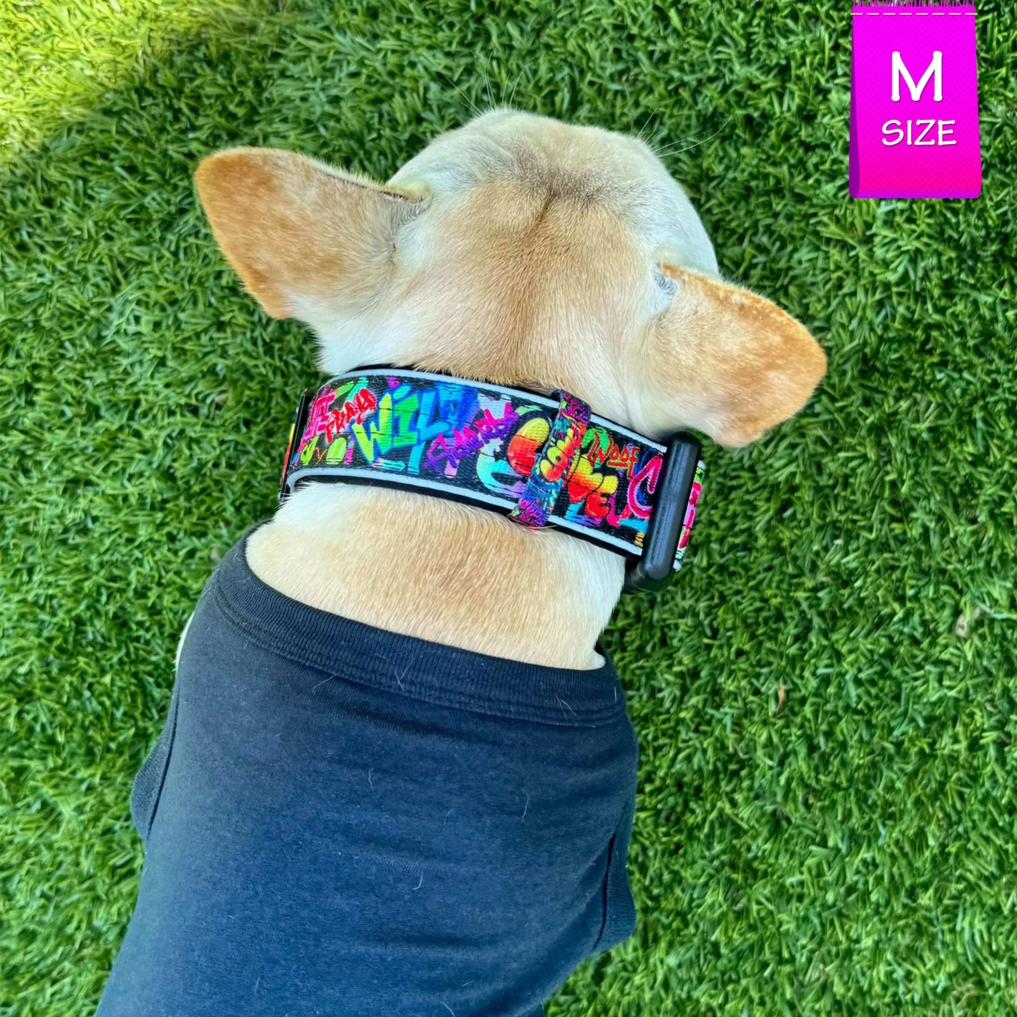 Reflective Dog Collar - Street Graffiti