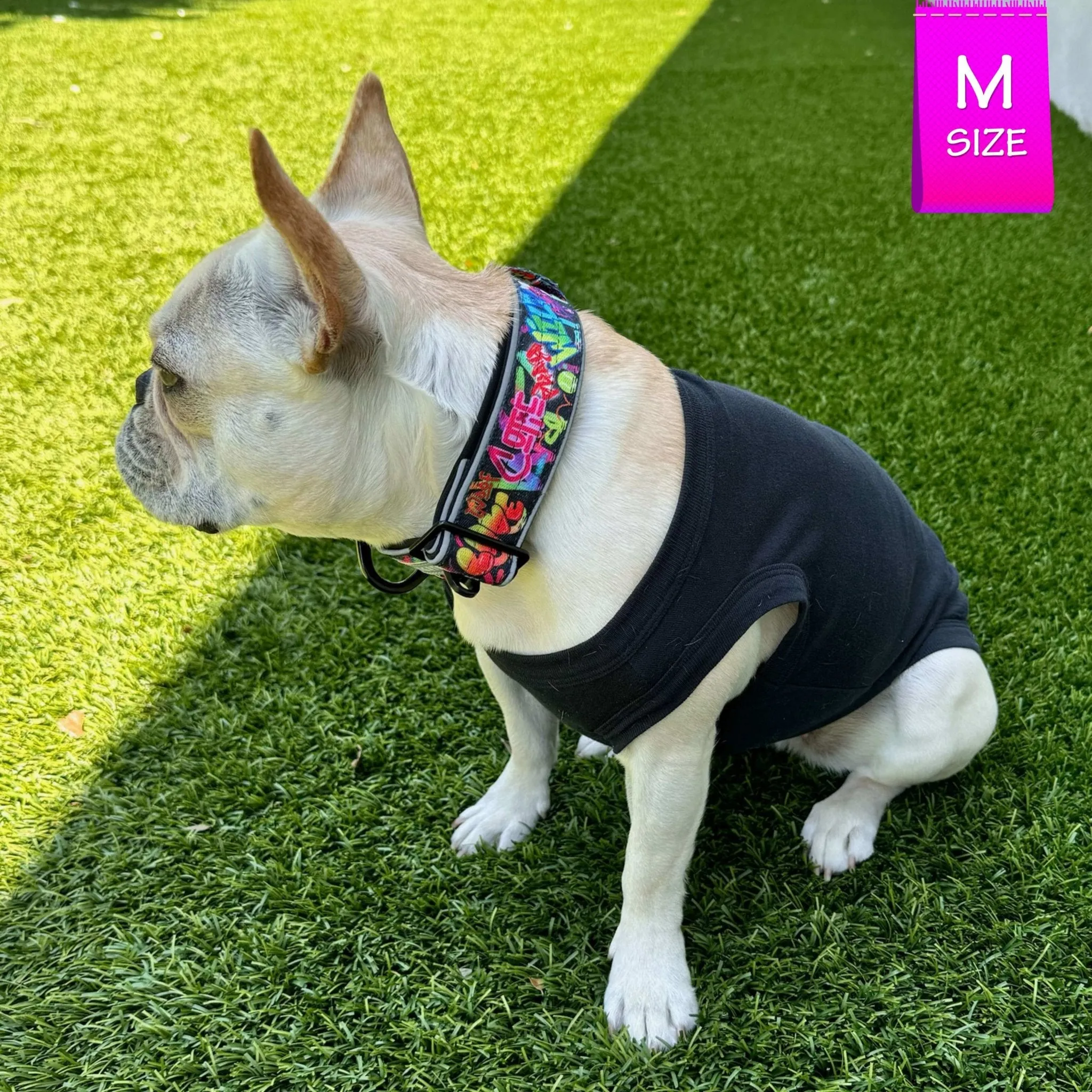 Reflective Dog Collar - Street Graffiti