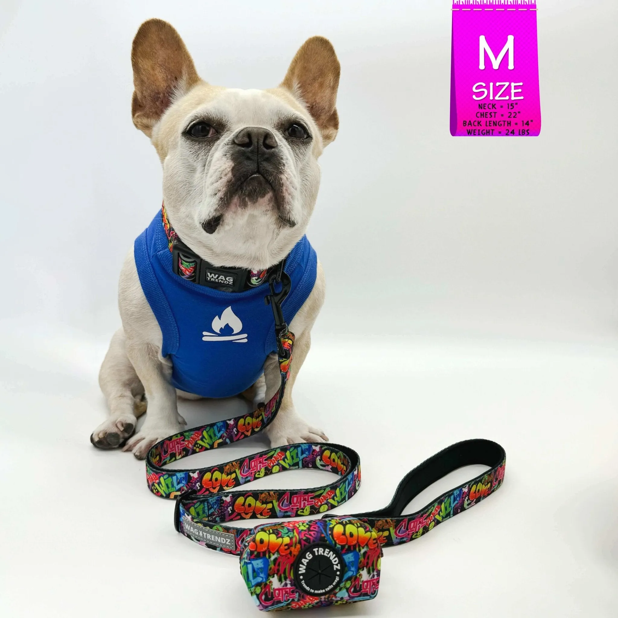 Reflective Dog Collar - Street Graffiti