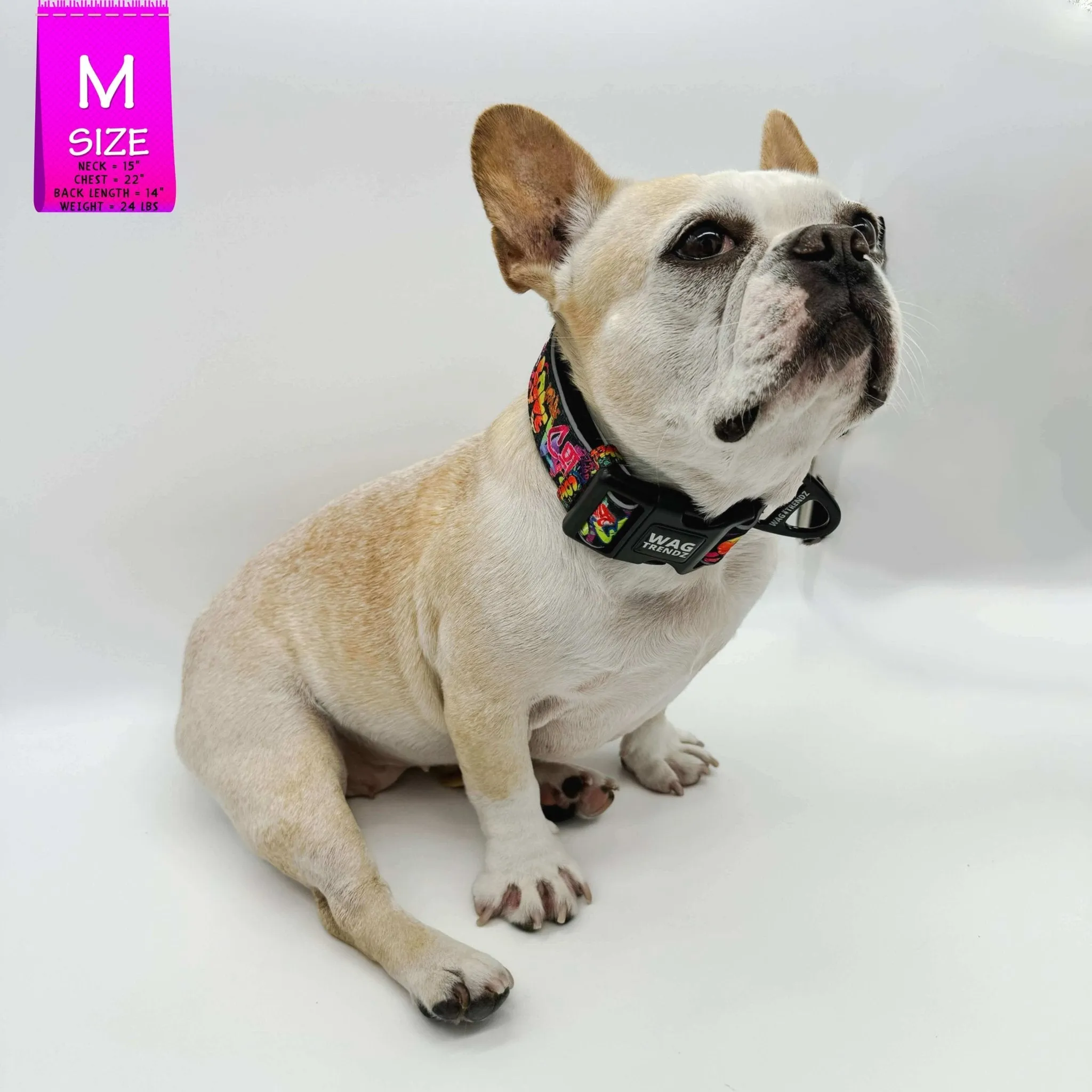 Reflective Dog Collar - Street Graffiti