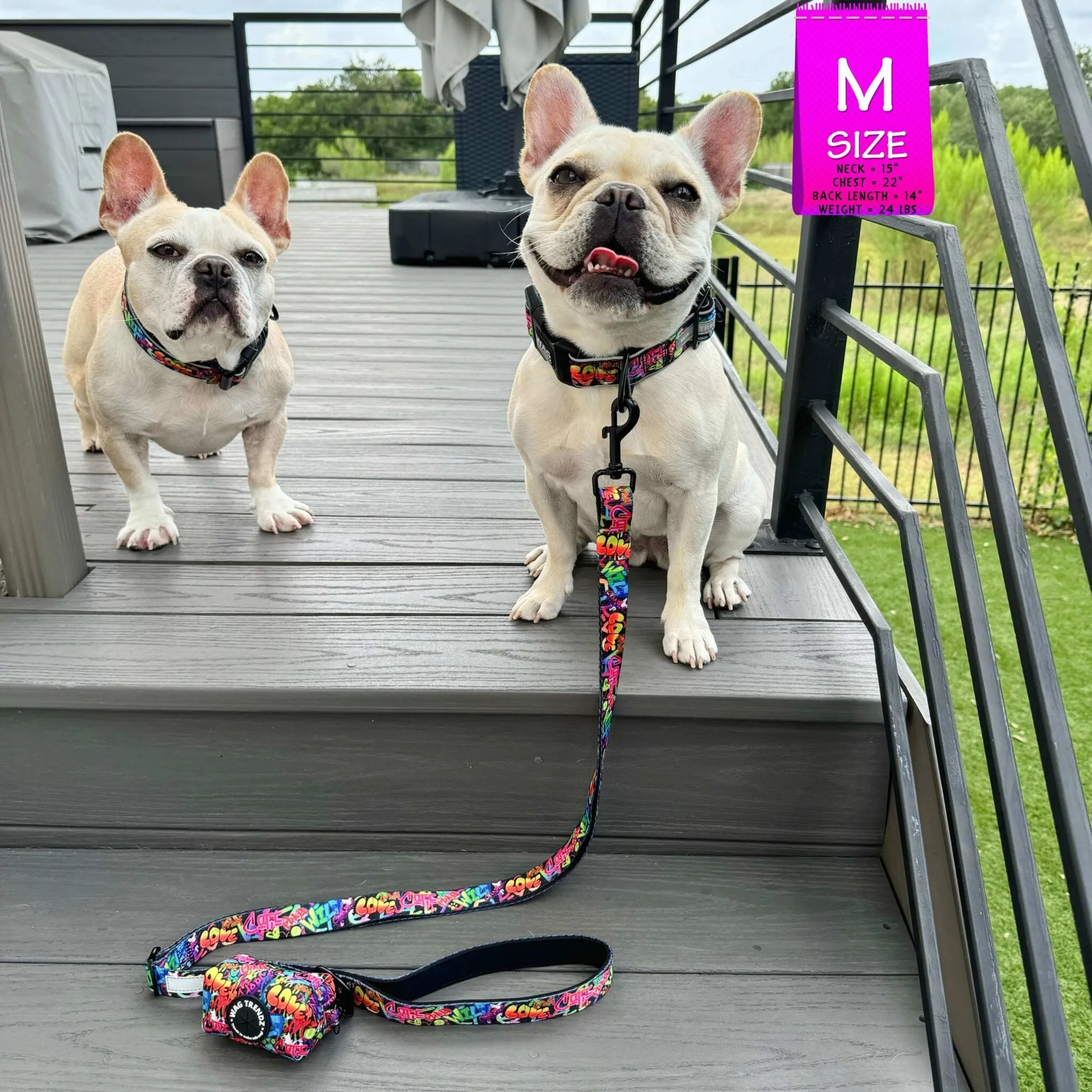 Reflective Dog Collar - Street Graffiti