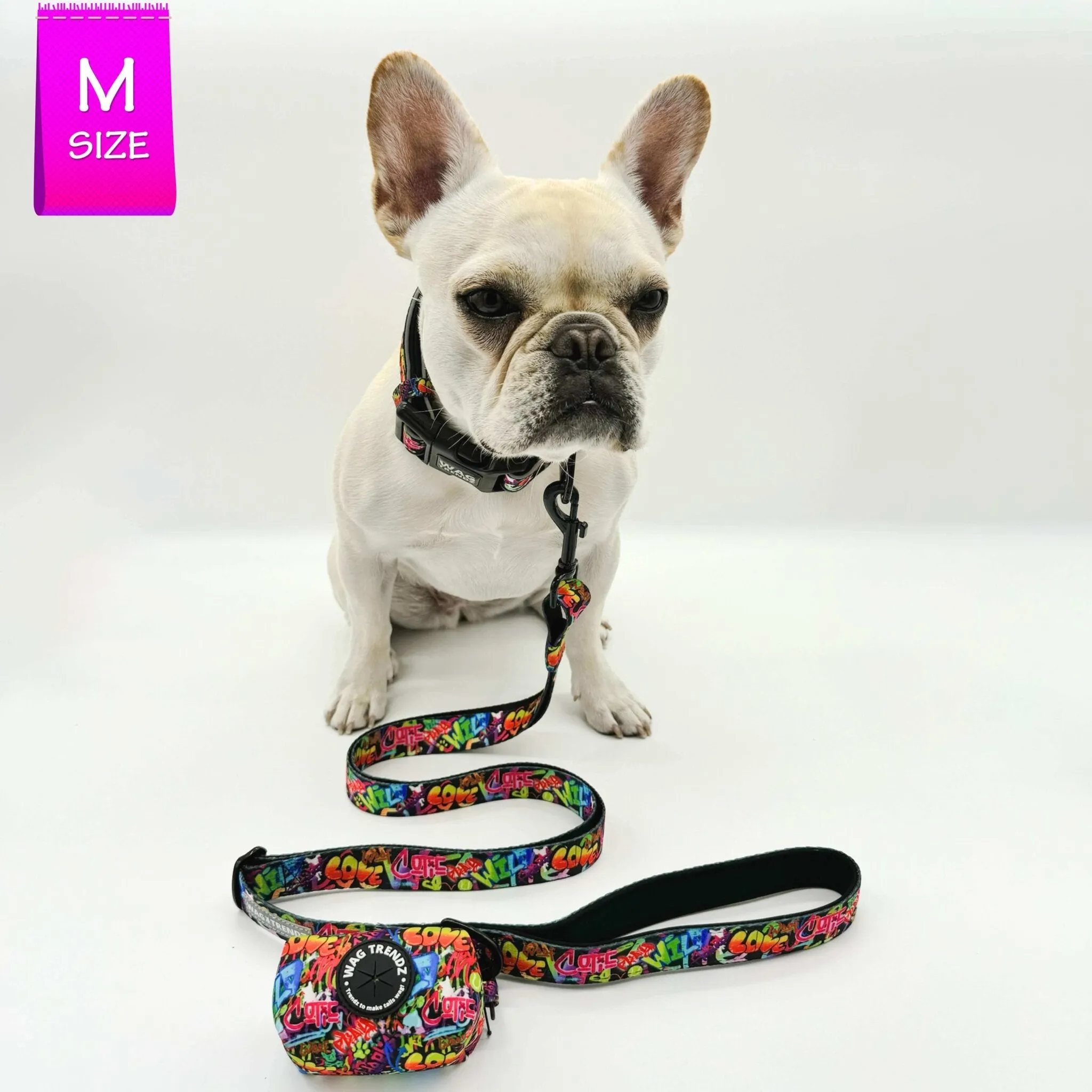 Reflective Dog Collar - Street Graffiti