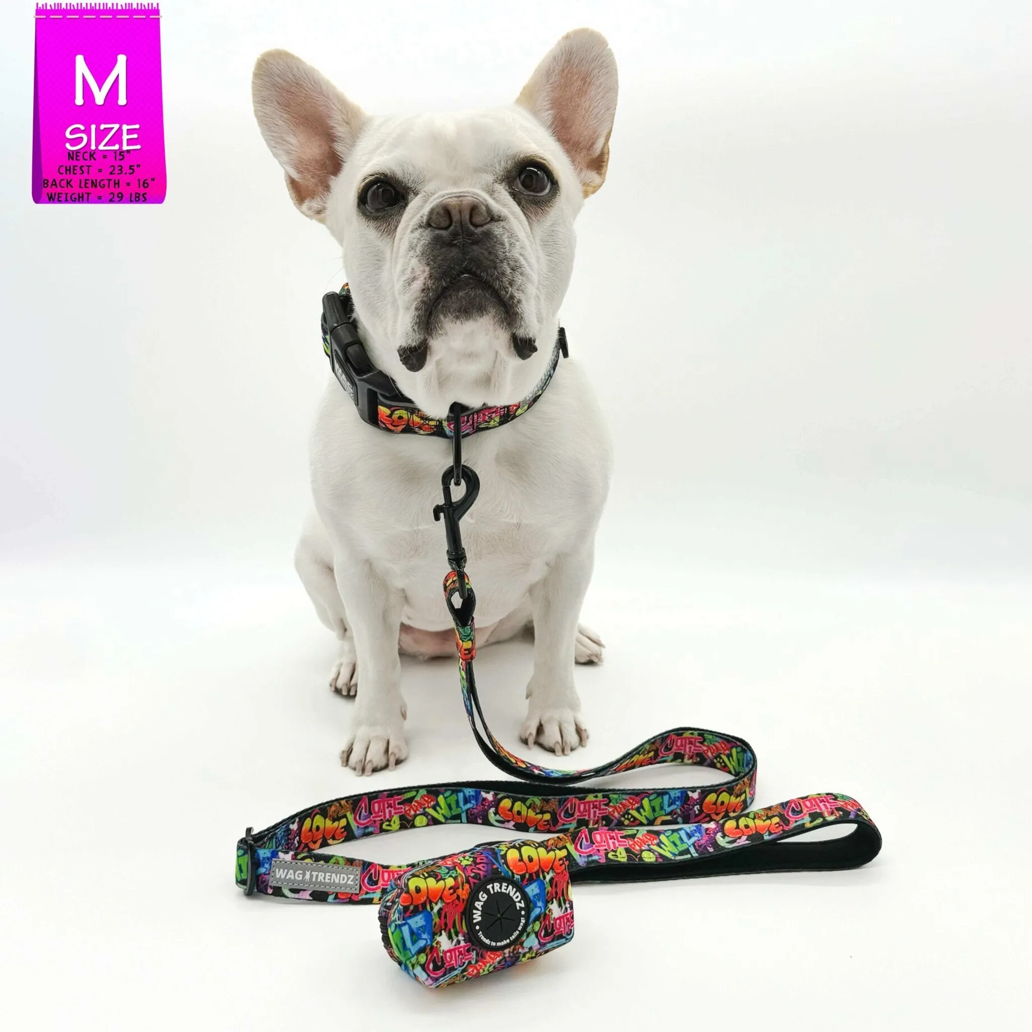 Reflective Dog Collar - Street Graffiti
