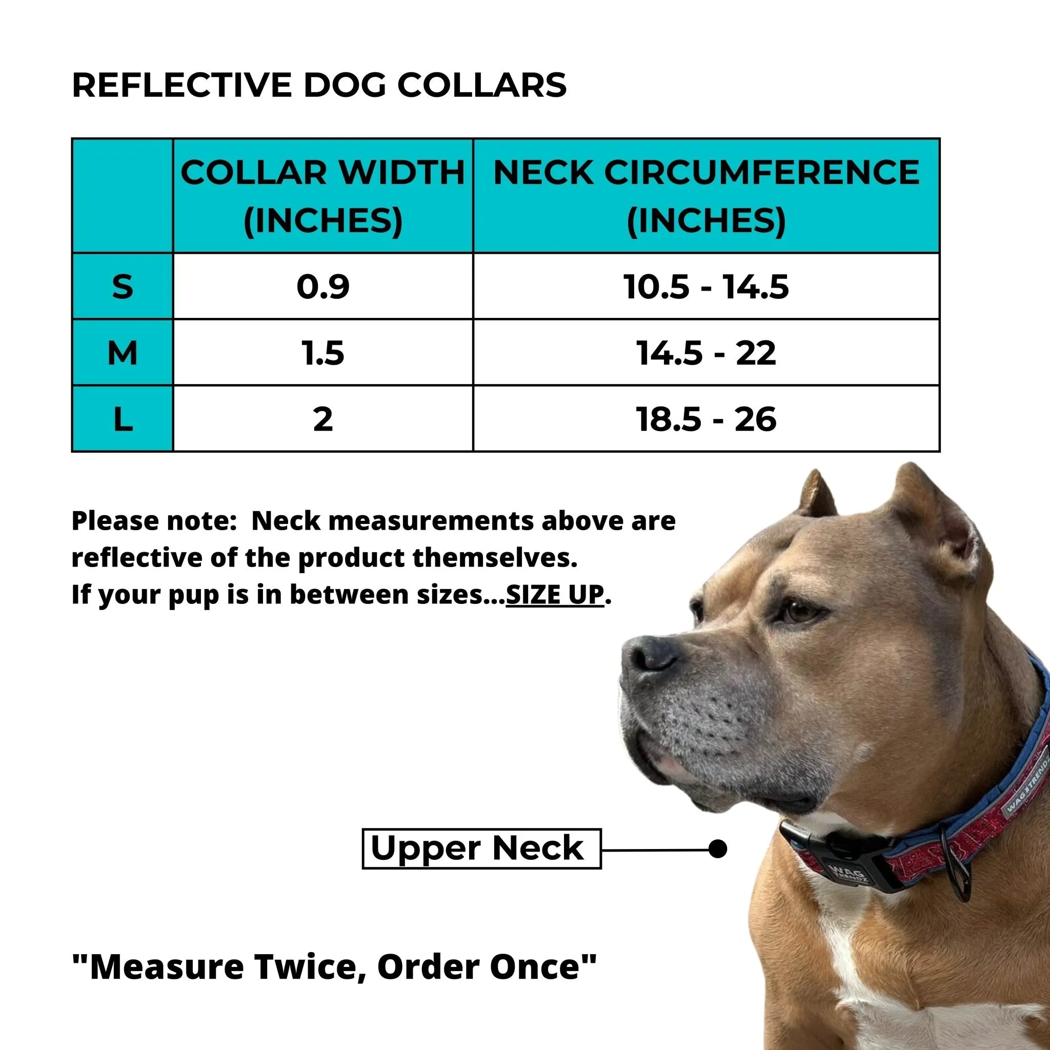 Reflective Dog Collar - Street Graffiti