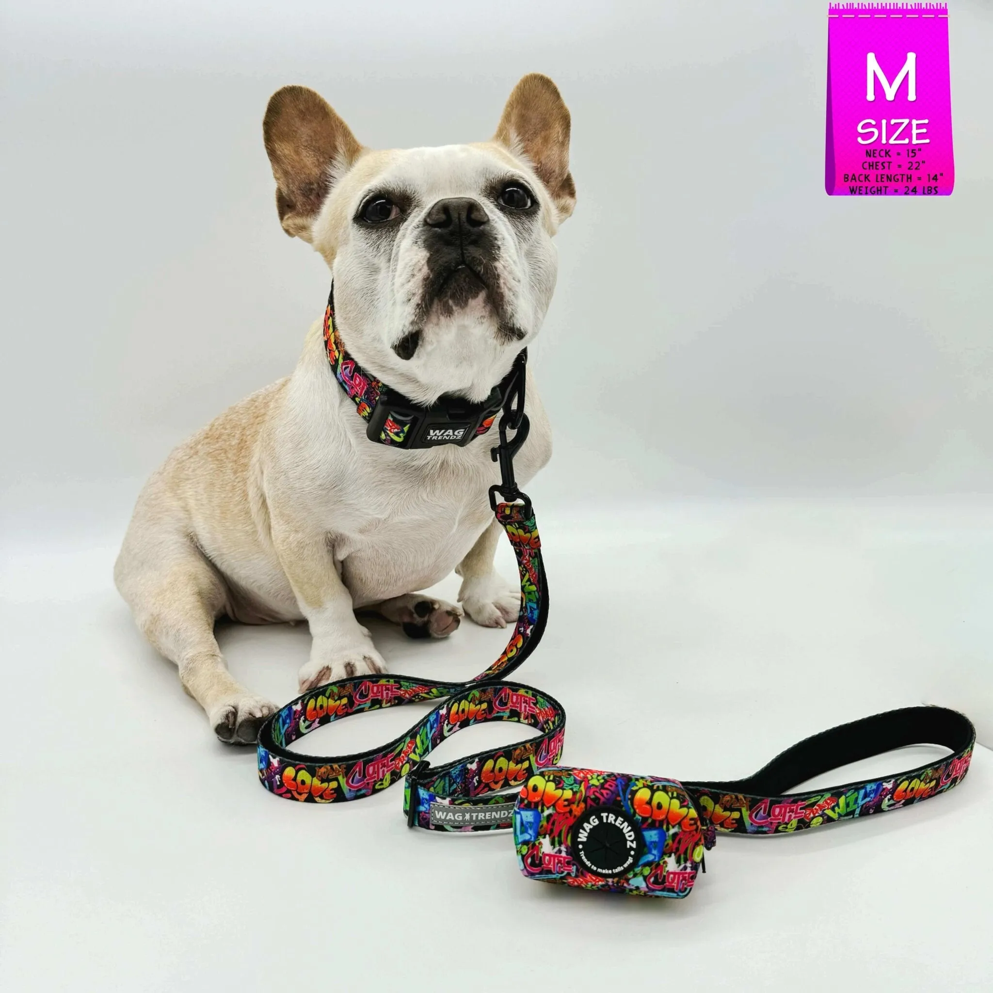 Reflective Dog Collar - Street Graffiti
