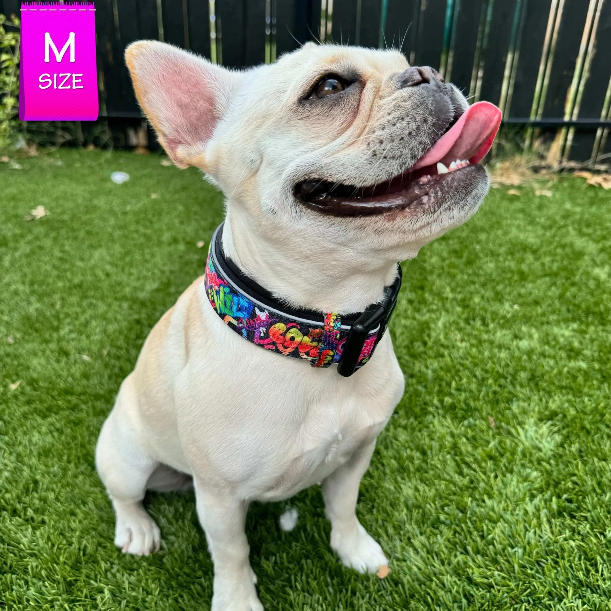 Reflective Dog Collar - Street Graffiti
