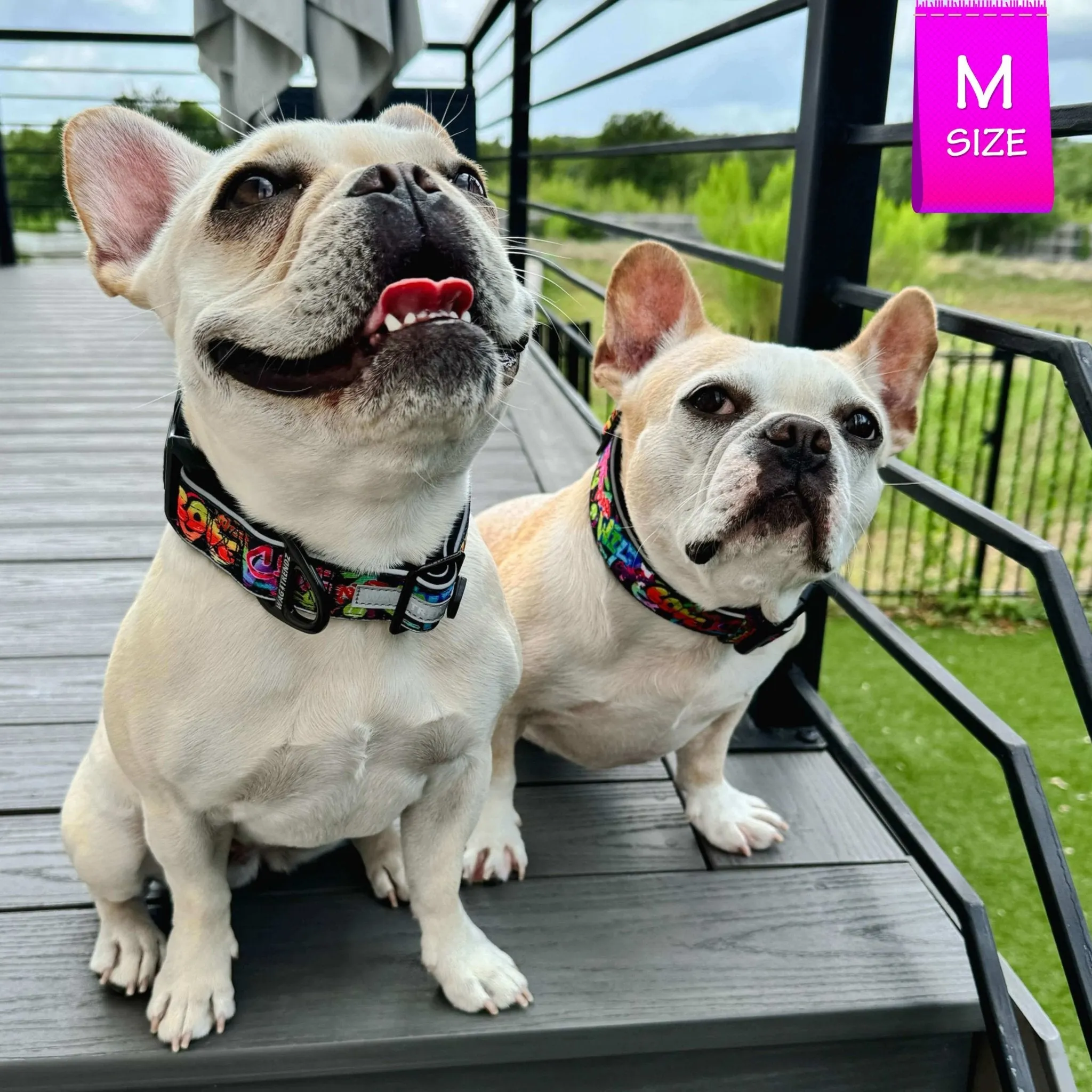 Reflective Dog Collar - Street Graffiti