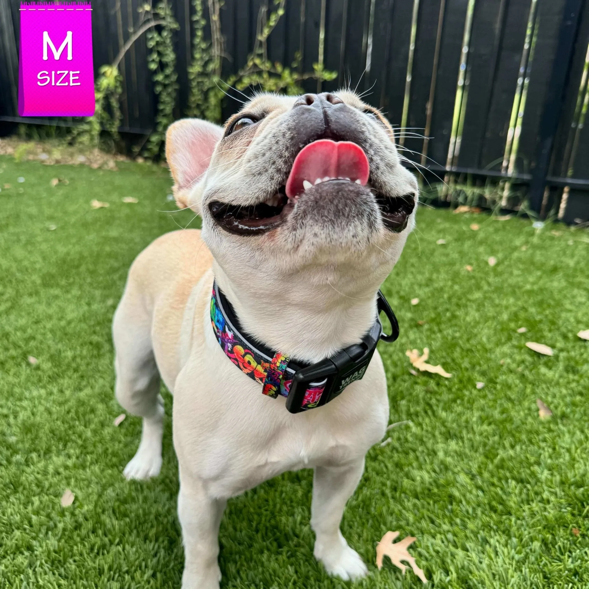 Reflective Dog Collar - Street Graffiti