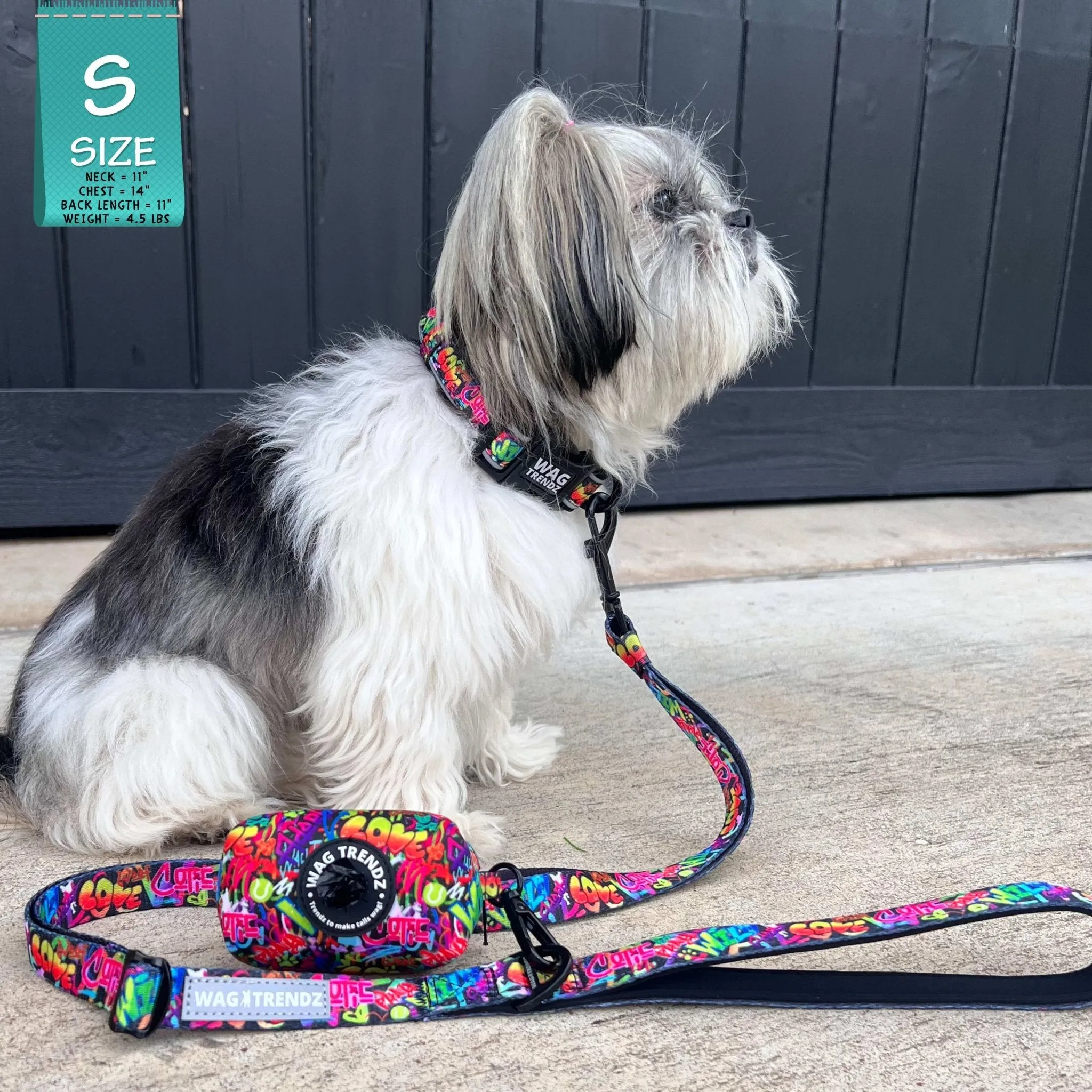 Reflective Dog Collar - Street Graffiti