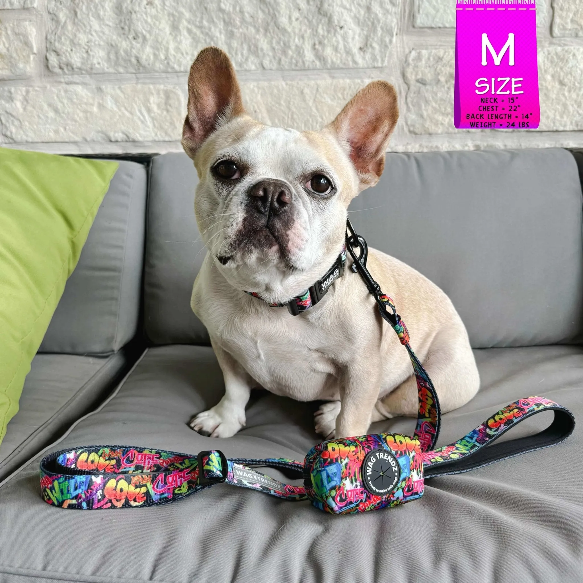 Reflective Dog Collar - Street Graffiti