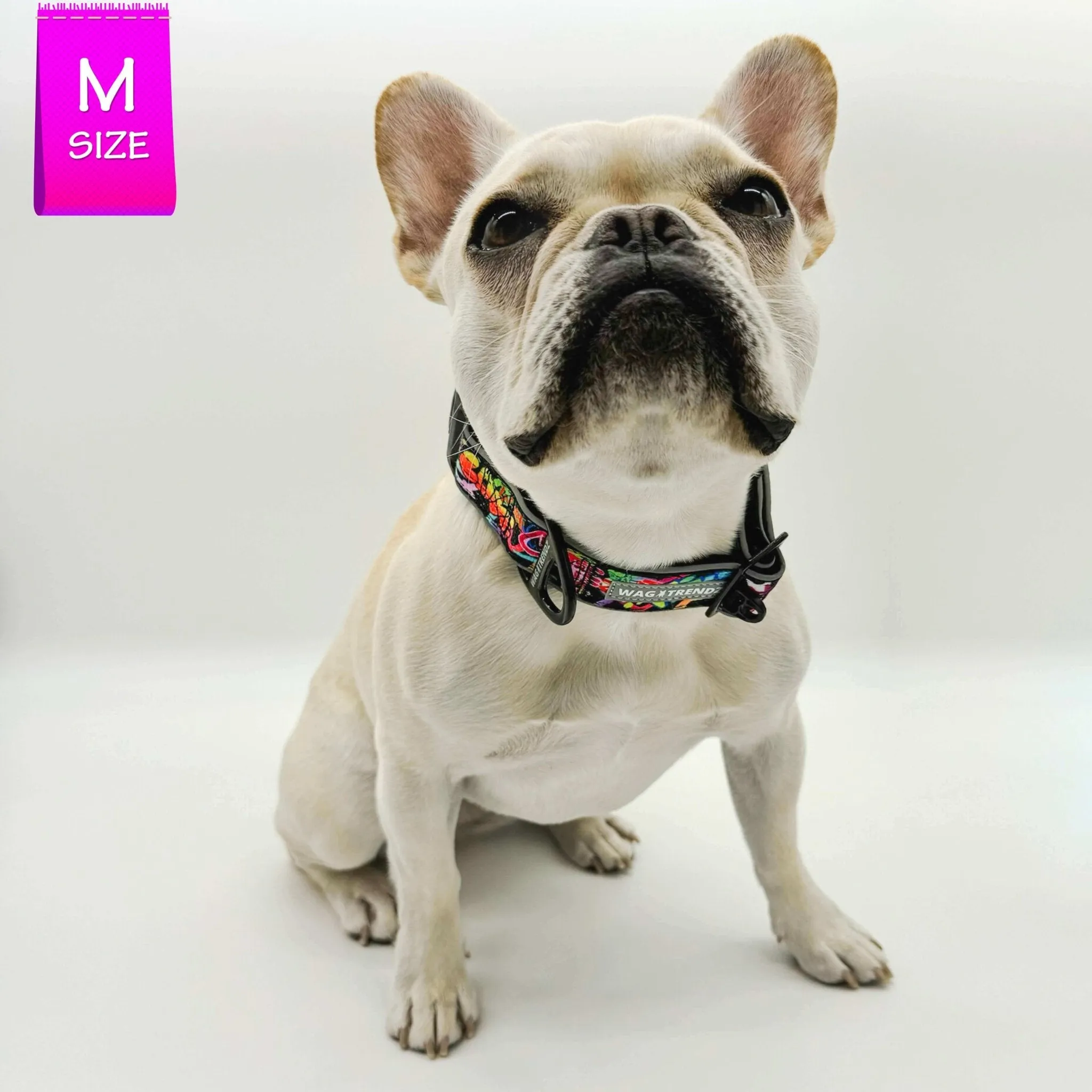 Reflective Dog Collar - Street Graffiti