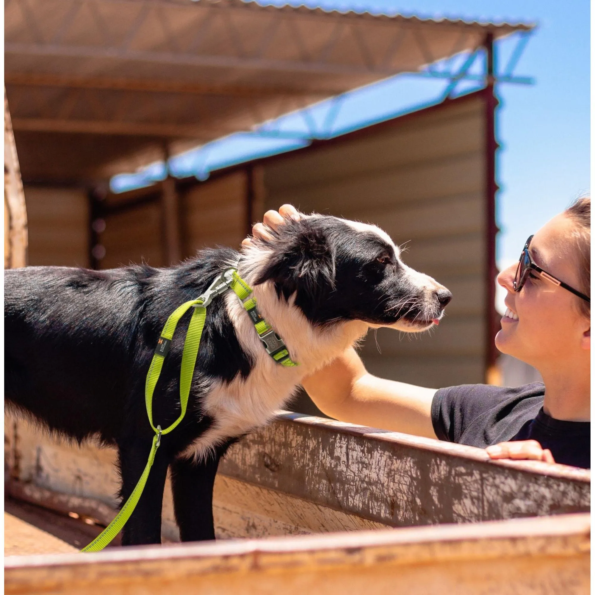 Reflective leash and collar for outdoor walks Straps