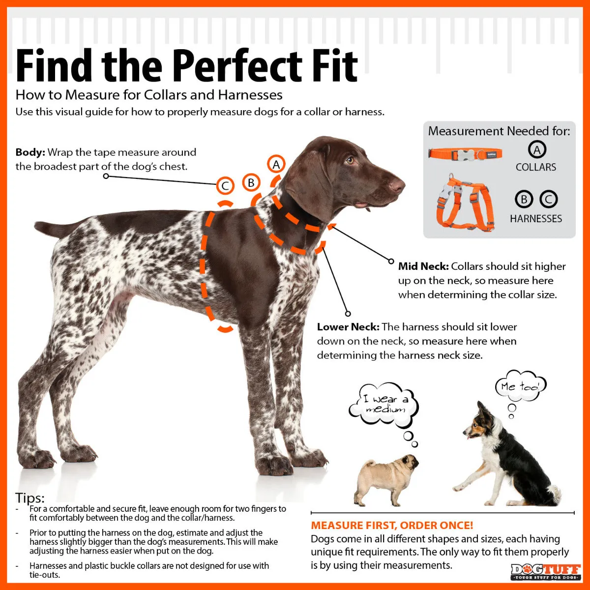 Reflective Ziggy Black Dog Collar
