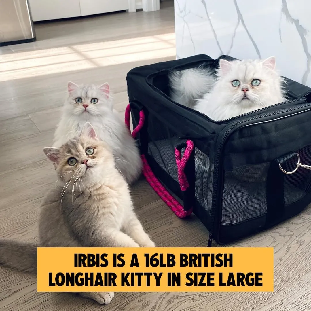ROVERLUND Airline-Compliant Pet Carrier | Includes Leash | Suitable for Pets up to 20lbs