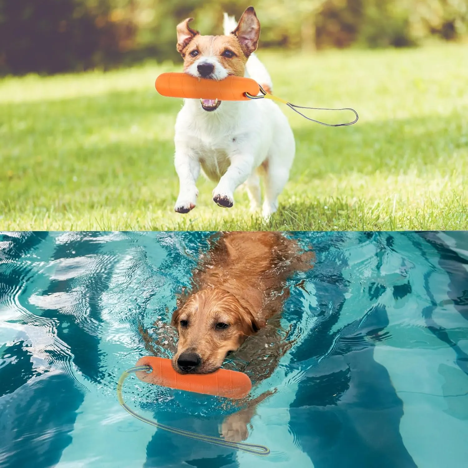 SCENEREAL Floating Dog Toys for Water Fetch, 8.5" Dog Water Toy for Medium Large Dogs, Tough Interactive 2 Pack Fetch Bumpers with Durable Rope for Summer Training Teething Outdoor Pool