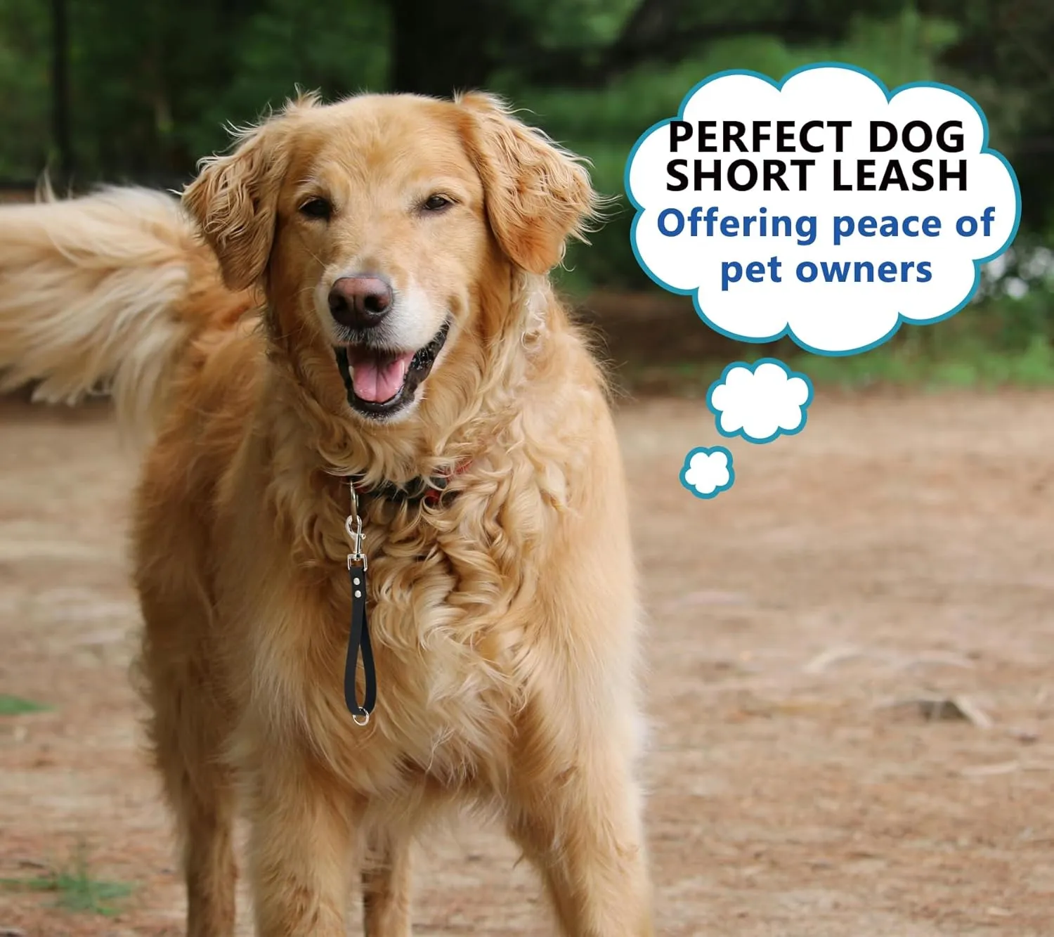 Short Dog Leash - 9 Inch Dogs Lead Grab Tab Heavy Duty Waterproof PVC Dog Training Traffic Leashes for Safety Control Behavior Correction Hiking Backup & All Breeds (Black, 9'')