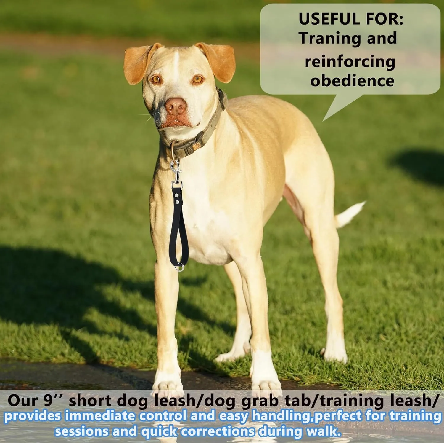 Short Dog Leash - 9 Inch Dogs Lead Grab Tab Heavy Duty Waterproof PVC Dog Training Traffic Leashes for Safety Control Behavior Correction Hiking Backup & All Breeds (Black, 9'')