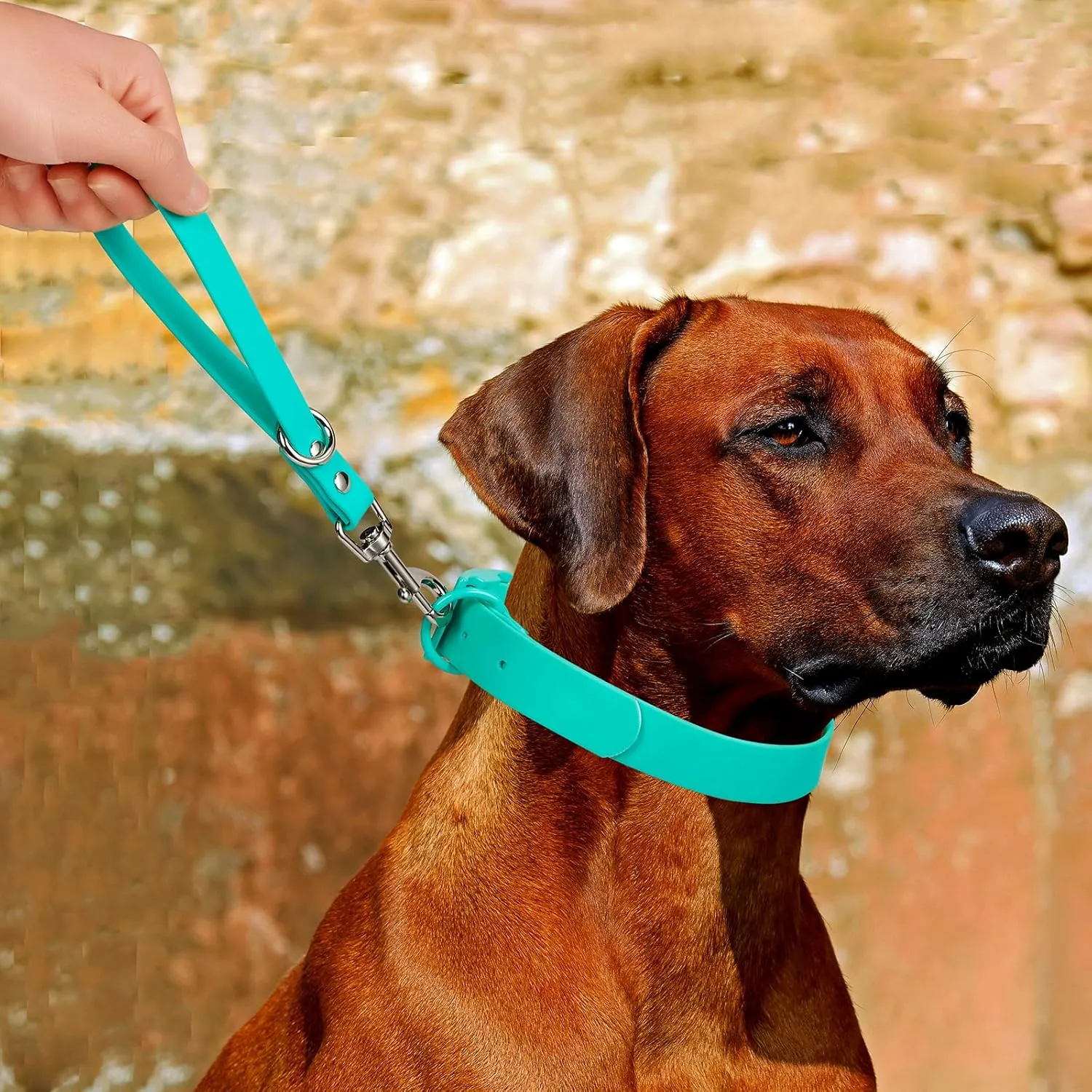 Short Dog Leash - 9 Inch Dogs Lead Grab Tab Heavy Duty Waterproof PVC Dog Training Traffic Leashes for Safety Control Behavior Correction Hiking Backup & All Breeds (Black, 9'')