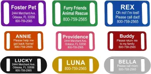 Slide-On Pet ID Tag | Collar Tag | 3 Sizes & 9 Colors to Choose from (RED, Medium)