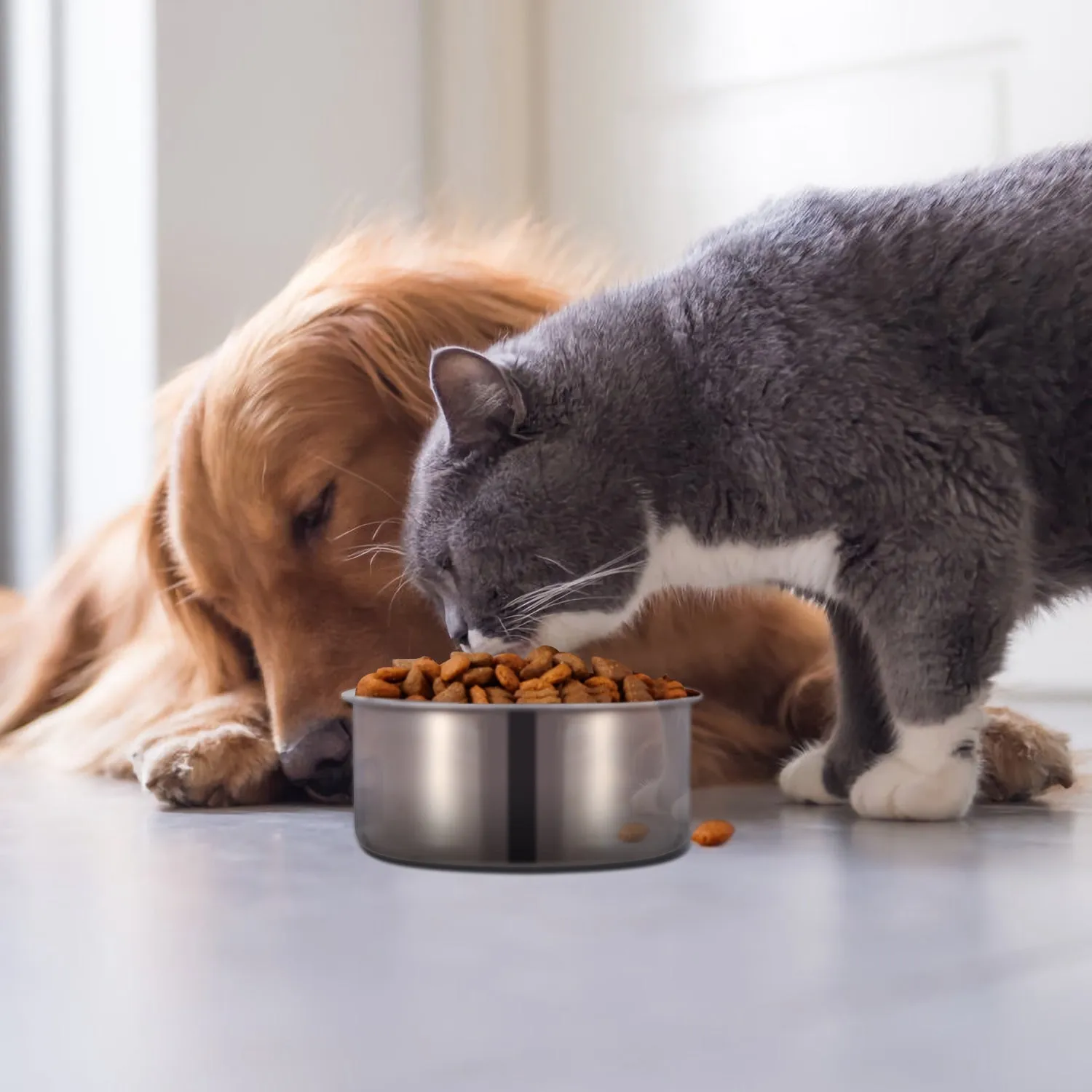 Stainless Steel Dog Pet Bowl