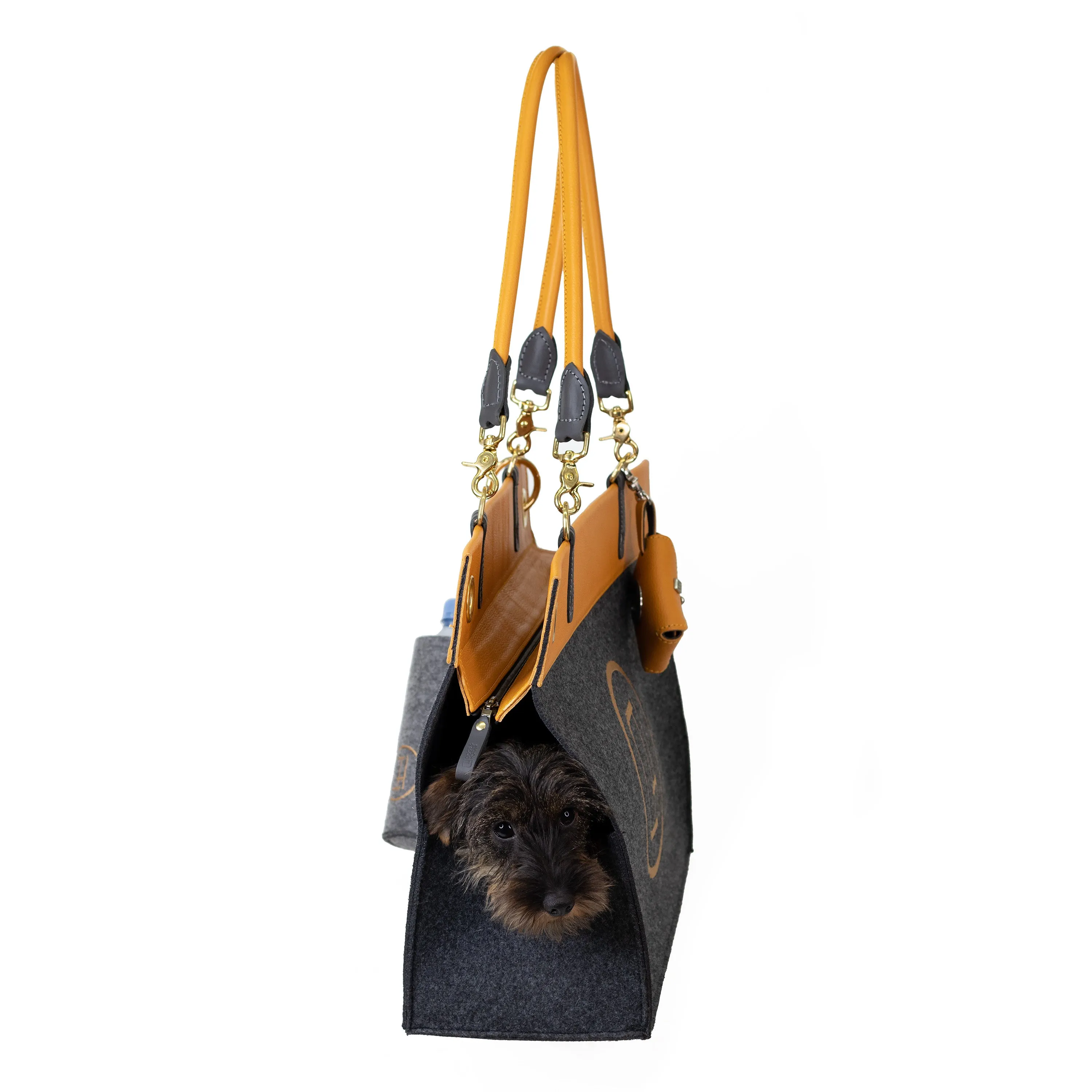 The Aviator Dog Carrier