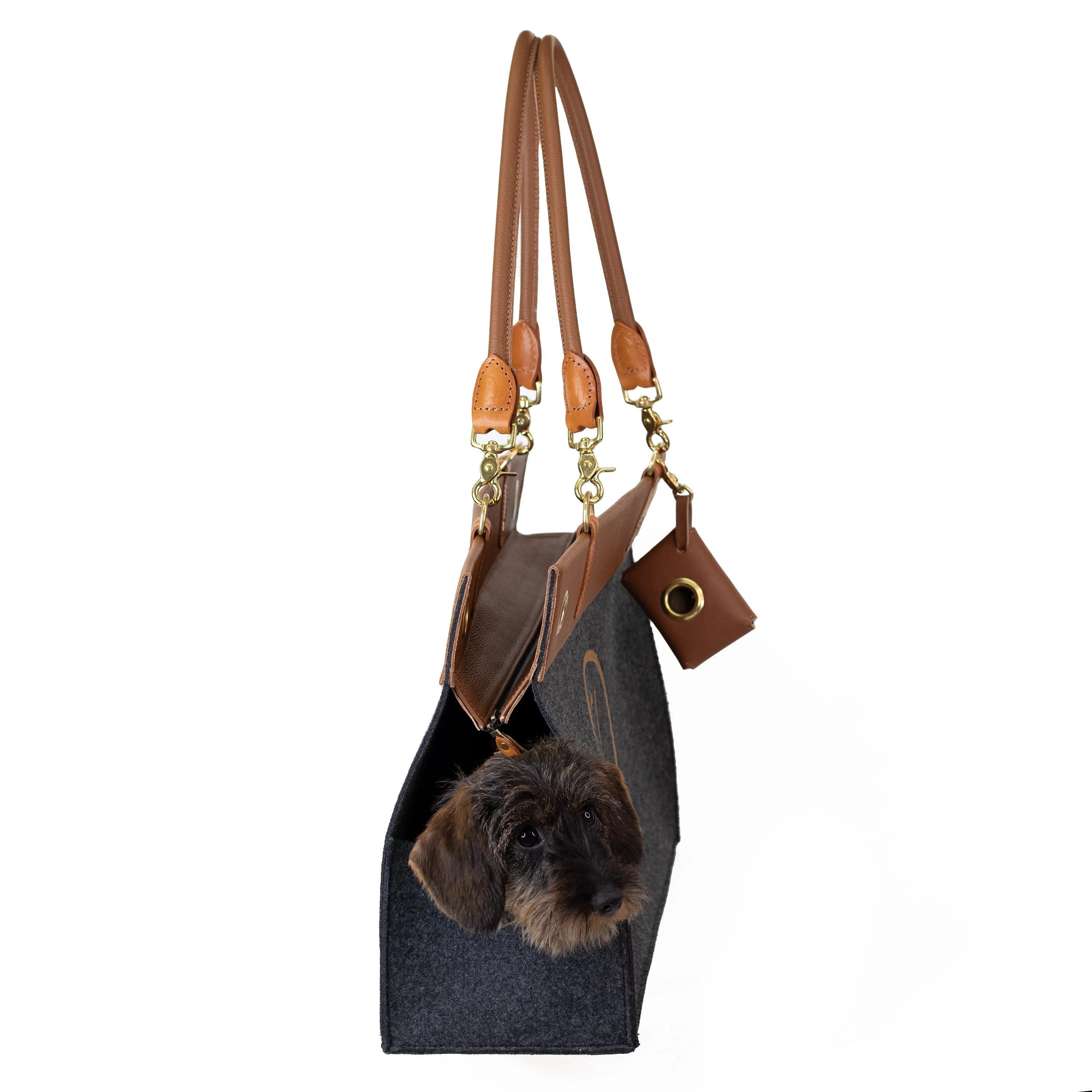 The Aviator Dog Carrier