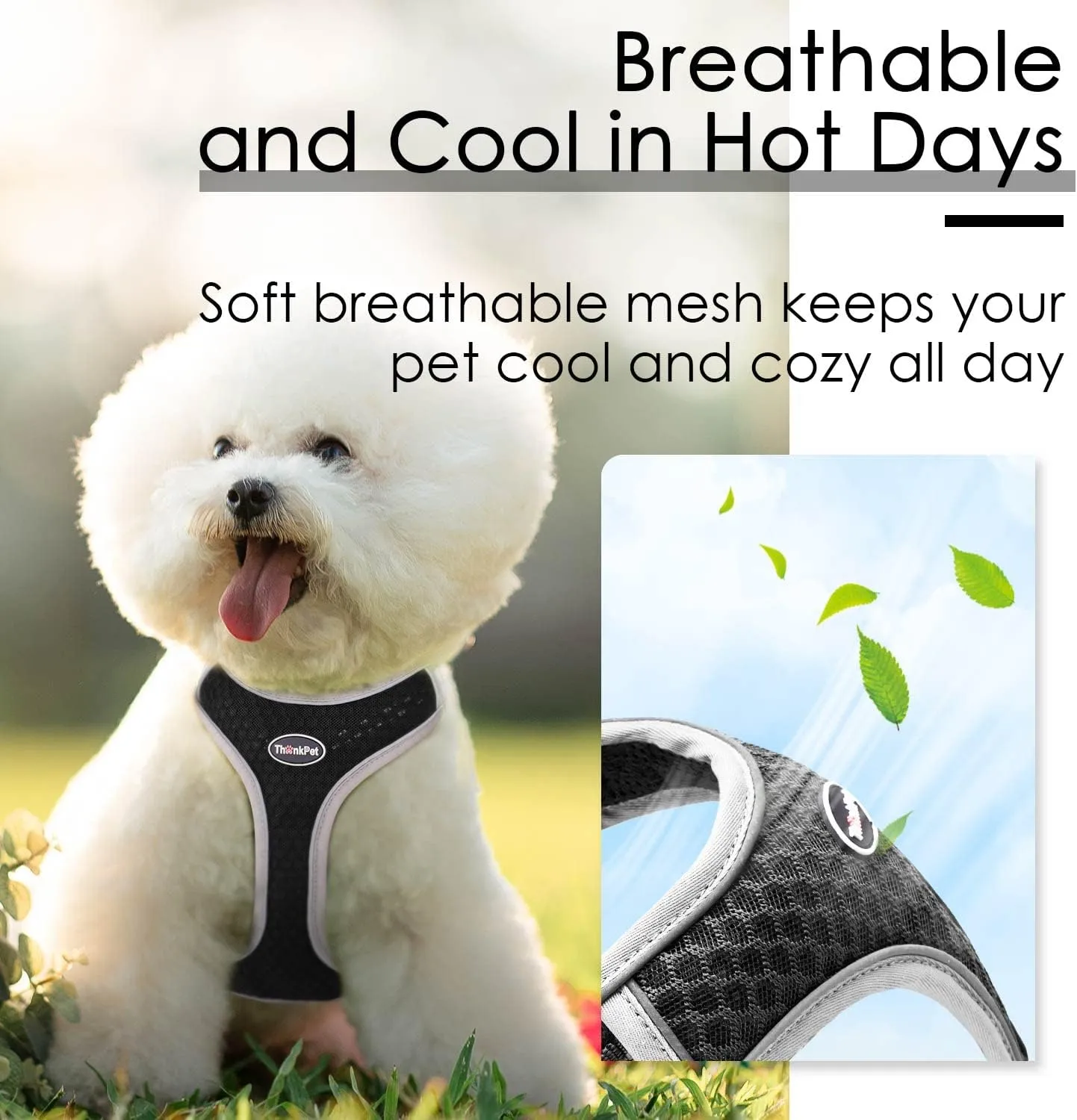 ThinkPet Harness and Leash Set Reflective Breathable Soft Air Mesh No Pull Puppy Choke Free Over Head Vest Ventilation Harness with Leash for Puppy Small Medium Dogs and Cats