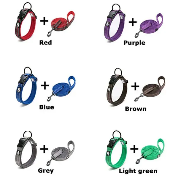 Truelove Easy On Pet Dog Collar And Leash Set