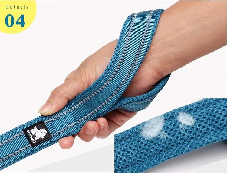 Truelove Easy On Pet Dog Collar And Leash Set