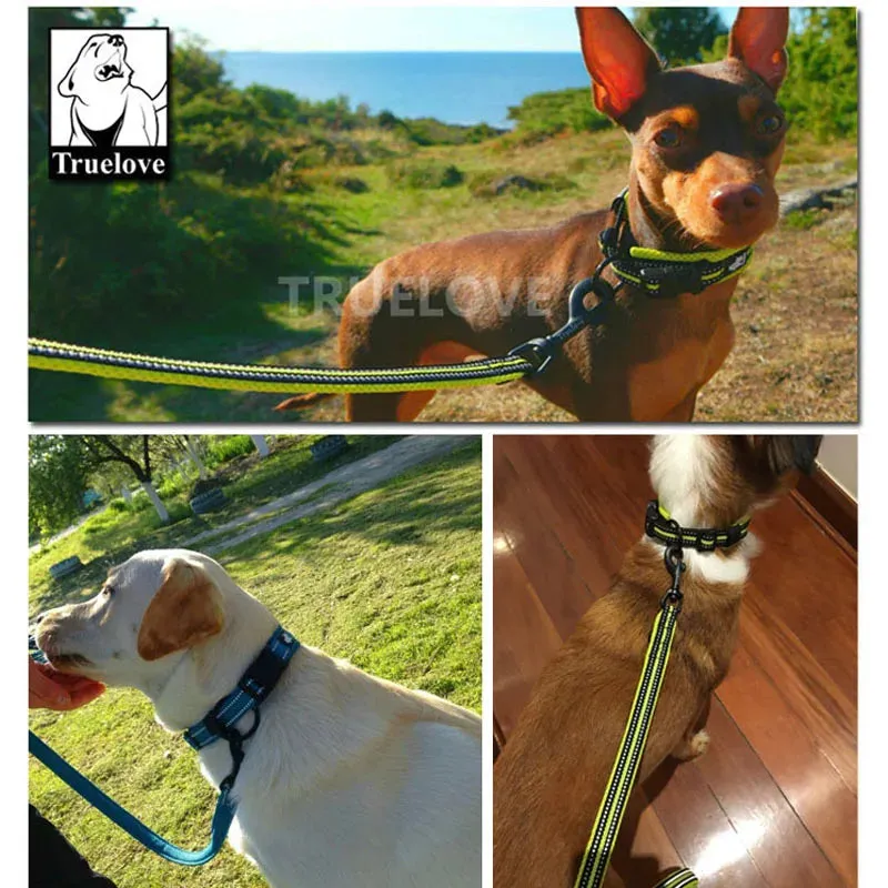 Truelove Easy On Pet Dog Collar And Leash Set