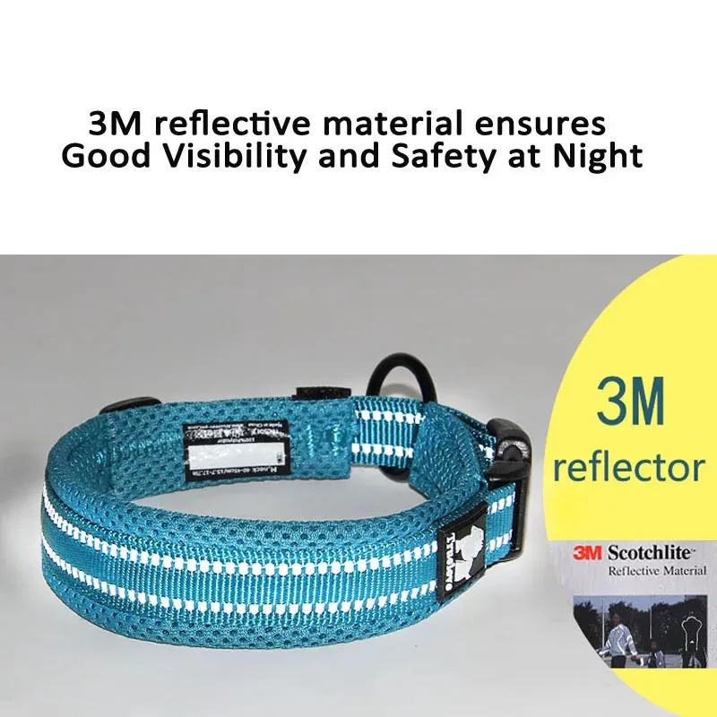 Truelove Easy On Pet Dog Collar And Leash Set