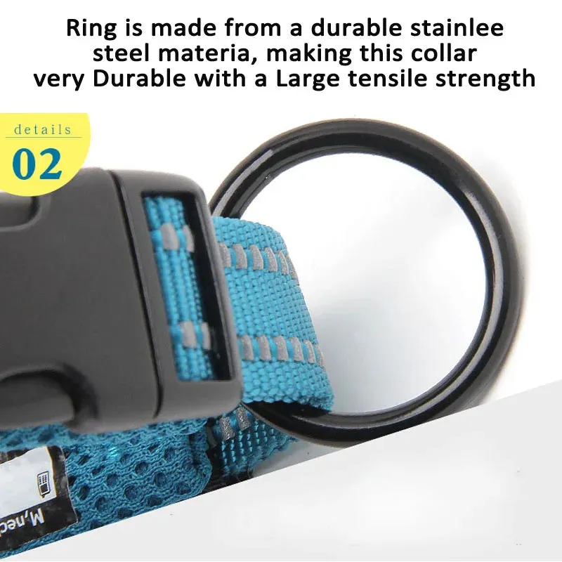 Truelove Easy On Pet Dog Collar And Leash Set