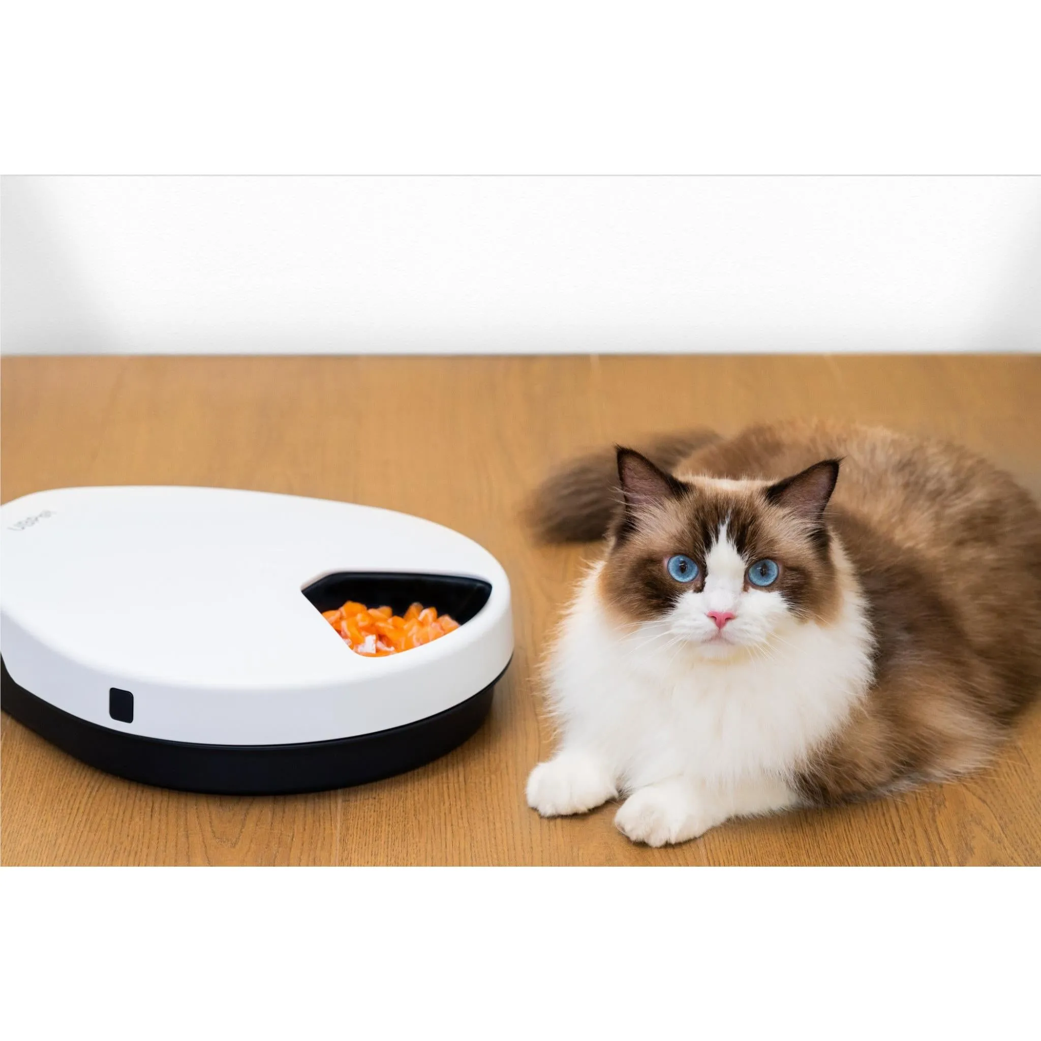 UB Pet by Pettecc Smart Refrigerated Feeder