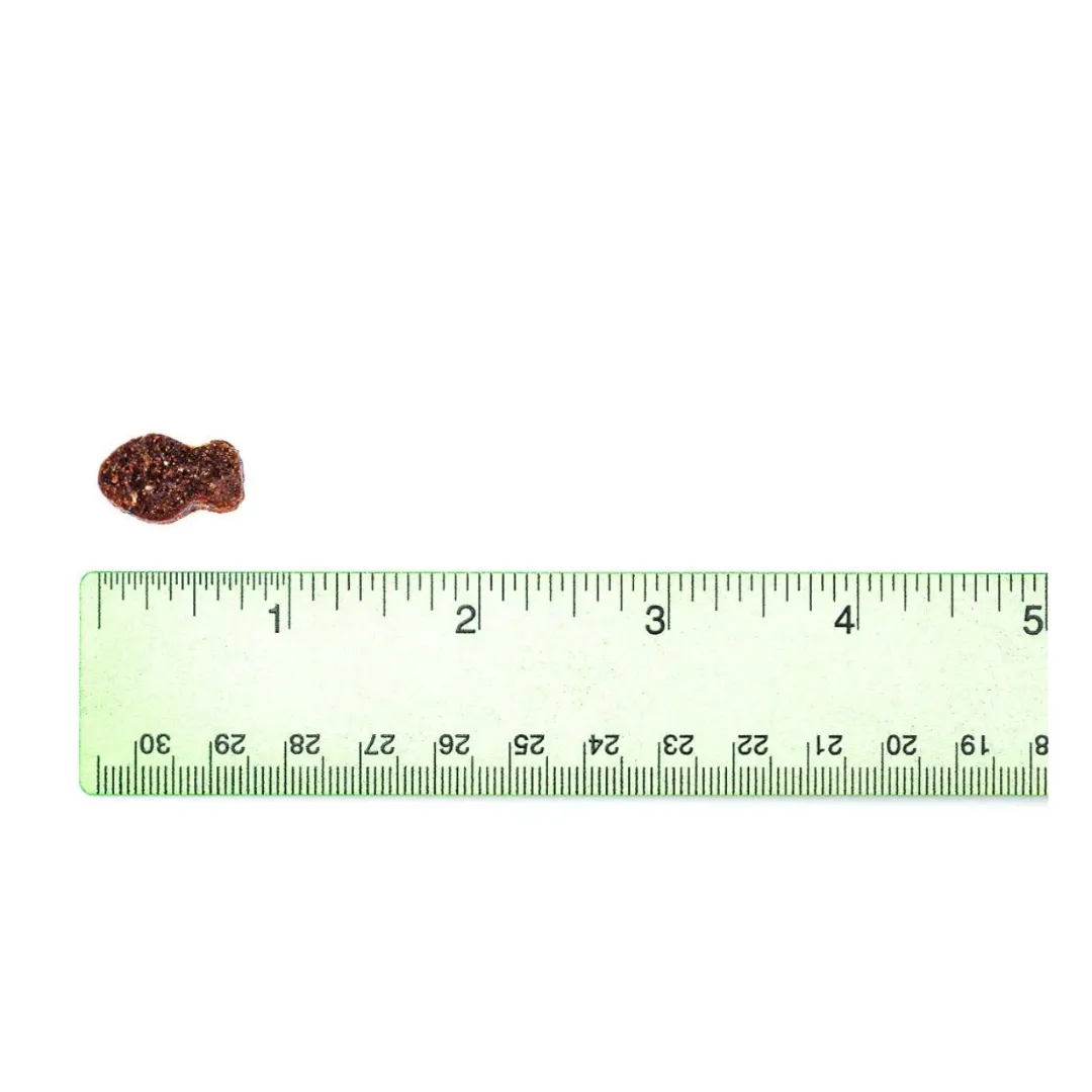 VetriScience - Nu Cat Senior Cat Multivitamin Bite-Sized Chews (30 Chews)